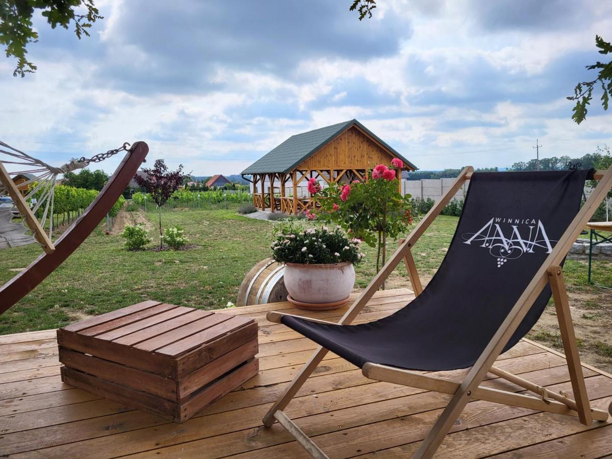 Winnica Anna Noclegi Krosnice Exteriér fotografie
